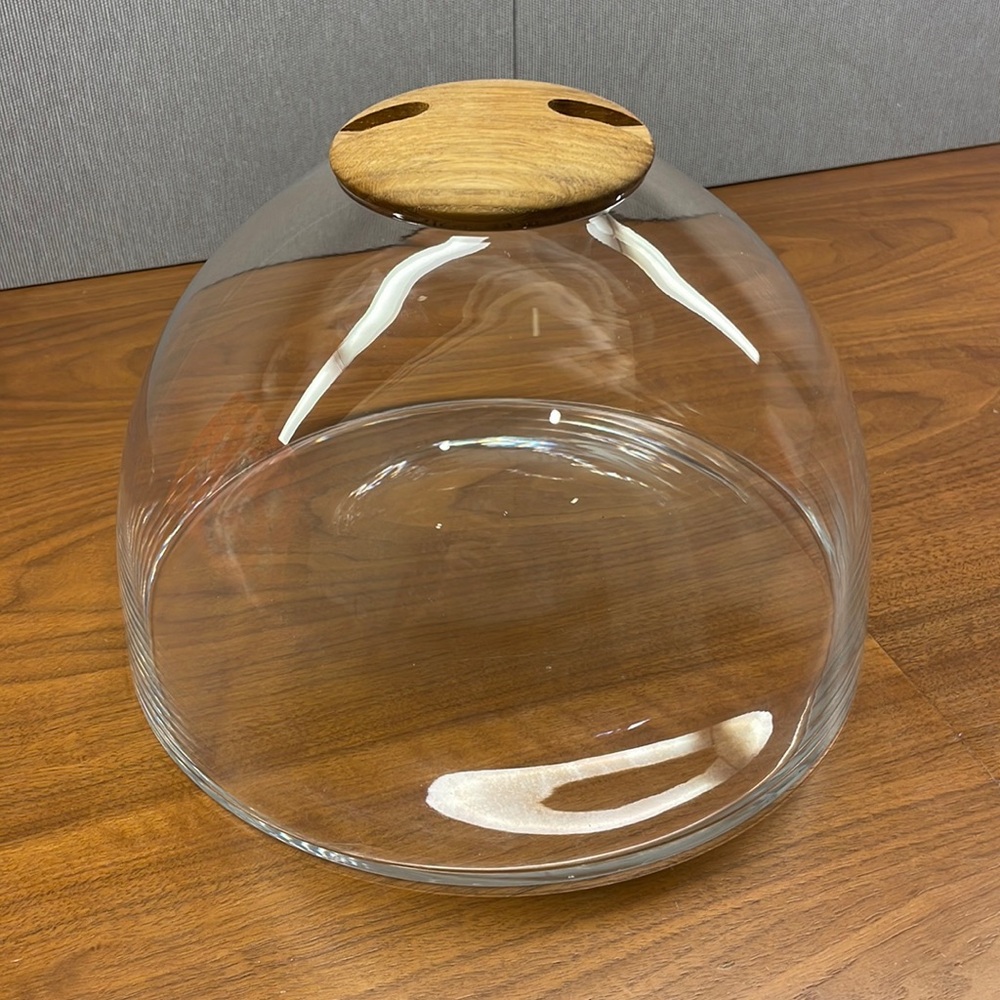 West Elm Terrarium